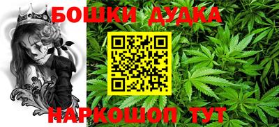 PSILOCYBIN Кандалакша